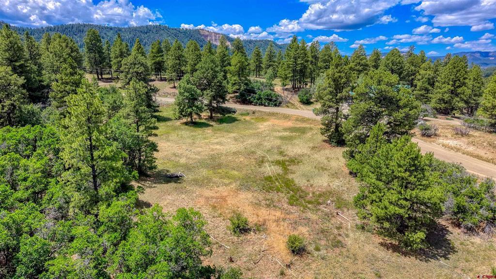 472 San Juan Drive Pagosa Springs CO 81147