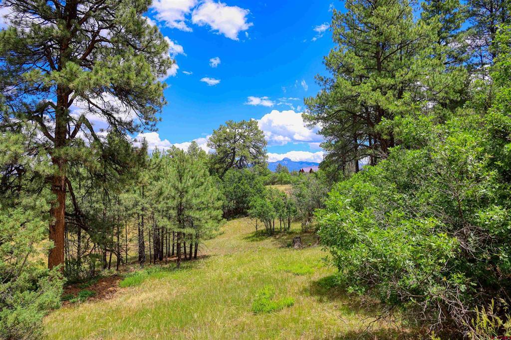 472 San Juan Drive Pagosa Springs CO 81147