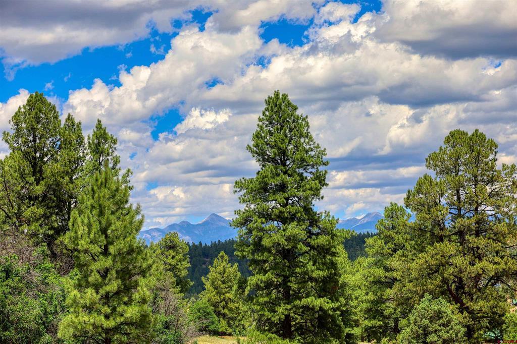 472 San Juan Drive Pagosa Springs CO 81147