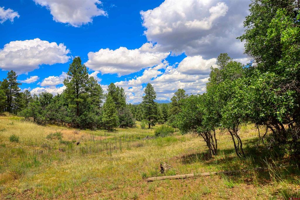 472 San Juan Drive Pagosa Springs CO 81147