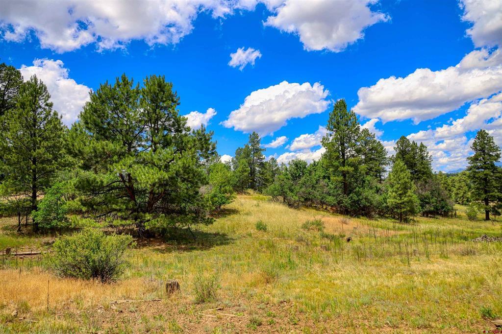 472 San Juan Drive Pagosa Springs CO 81147