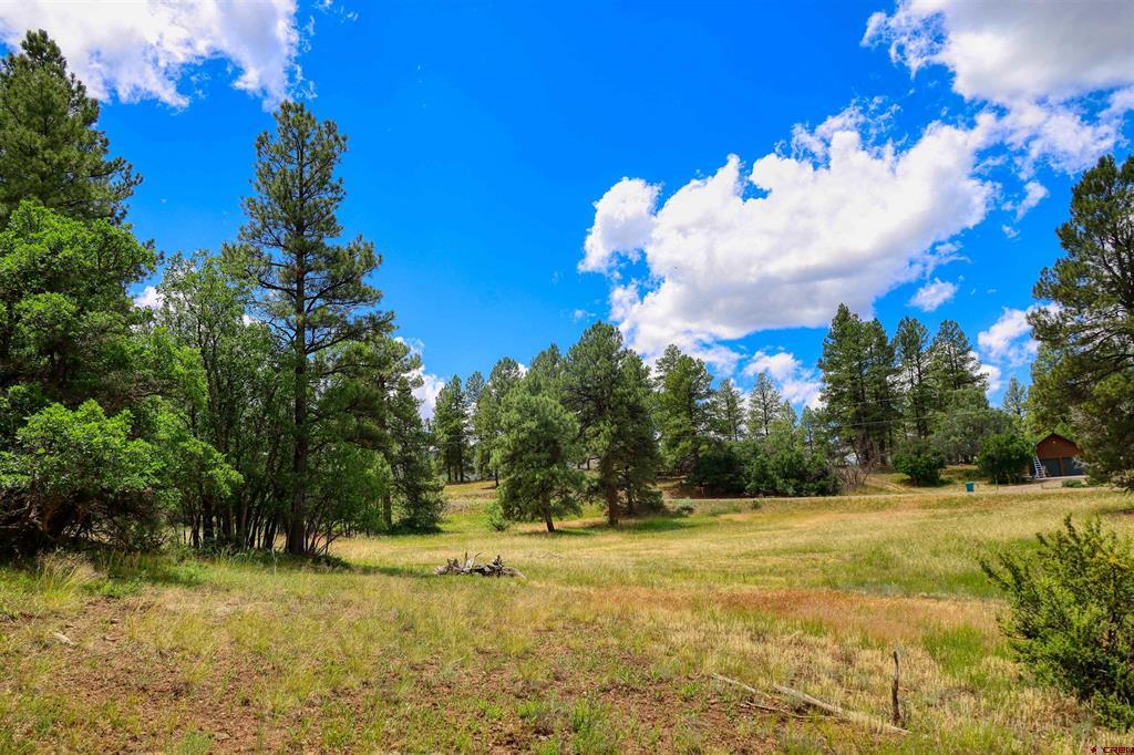 472 San Juan Drive Pagosa Springs CO 81147