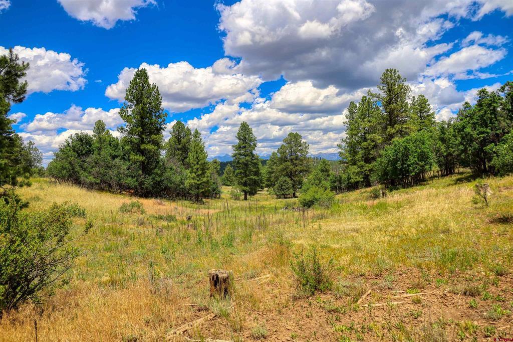 472 San Juan Drive Pagosa Springs CO 81147