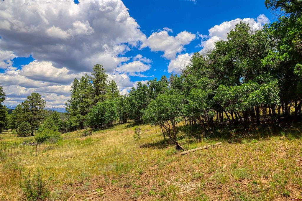 472 San Juan Drive Pagosa Springs CO 81147