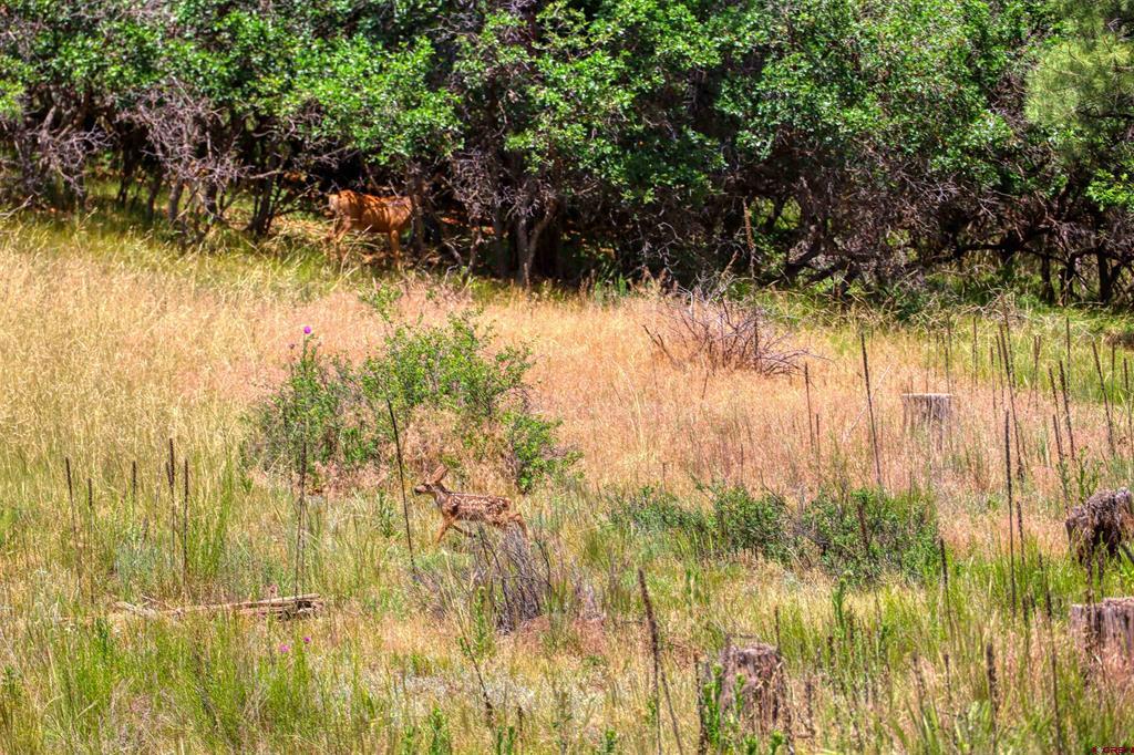 472 San Juan Drive Pagosa Springs CO 81147