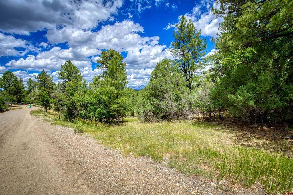 472 San Juan Drive Pagosa Springs CO 81147