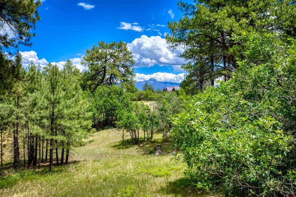 472 San Juan Drive Pagosa Springs CO 81147