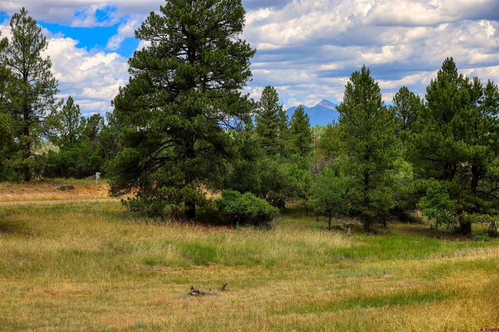 472 San Juan Drive Pagosa Springs CO 81147