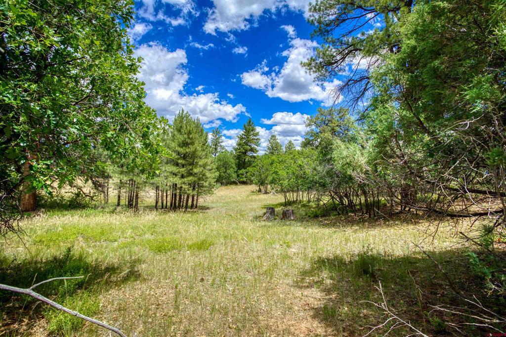 472 San Juan Drive Pagosa Springs CO 81147