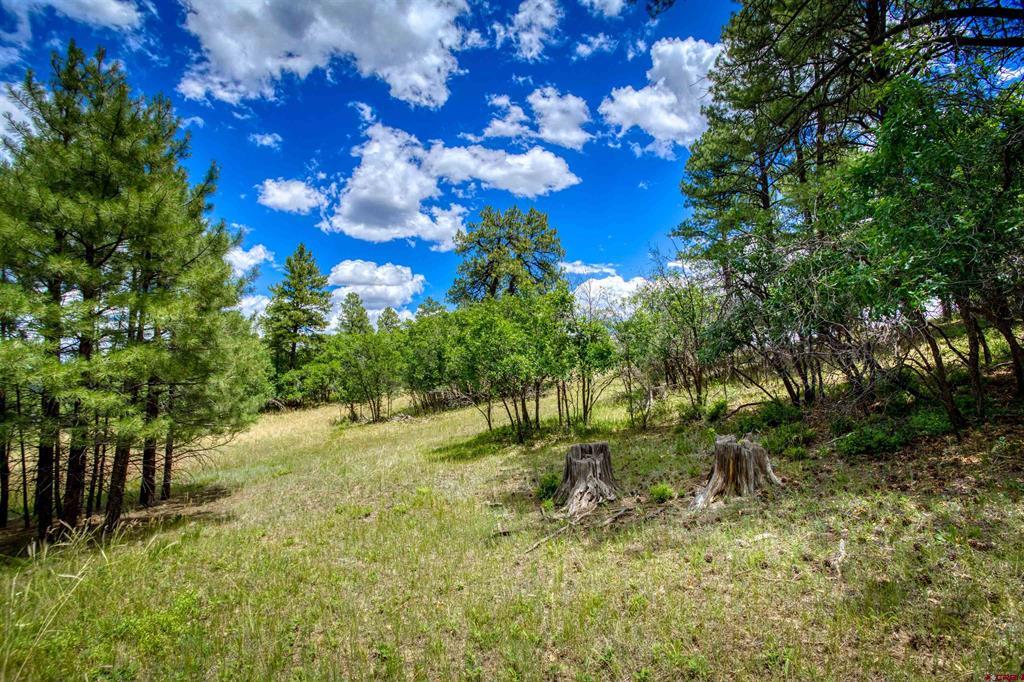 472 San Juan Drive Pagosa Springs CO 81147