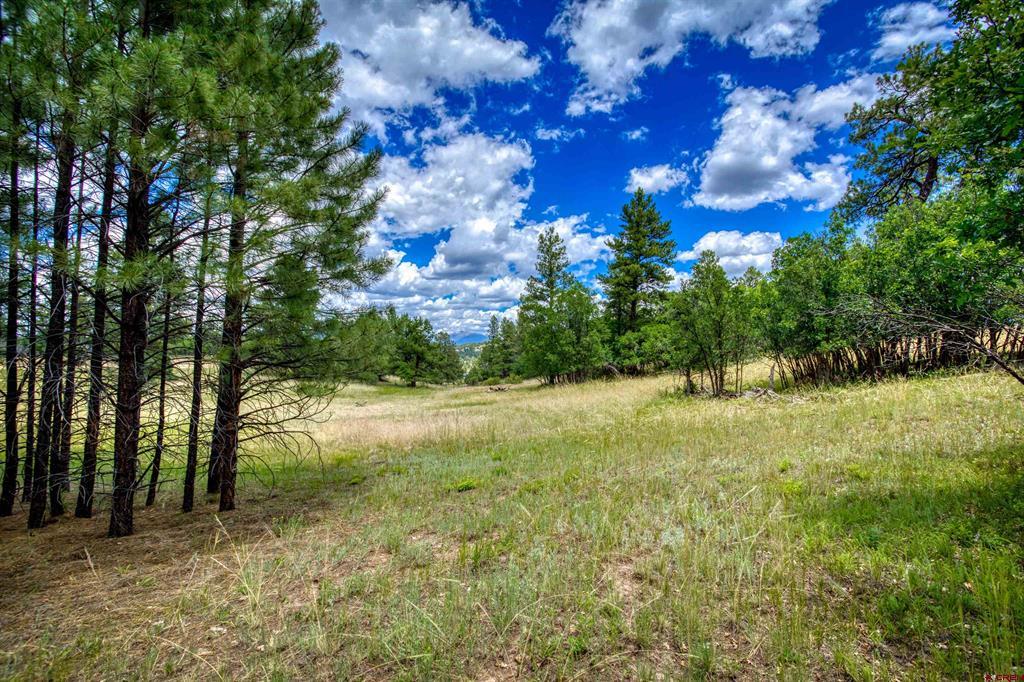472 San Juan Drive Pagosa Springs CO 81147