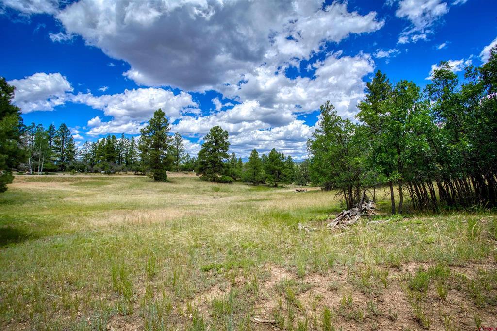 472 San Juan Drive Pagosa Springs CO 81147