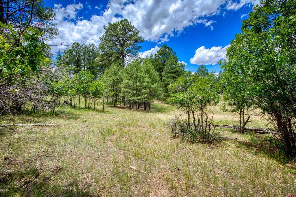 472 San Juan Drive Pagosa Springs CO 81147