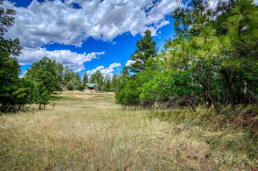 472 San Juan Drive Pagosa Springs CO 81147