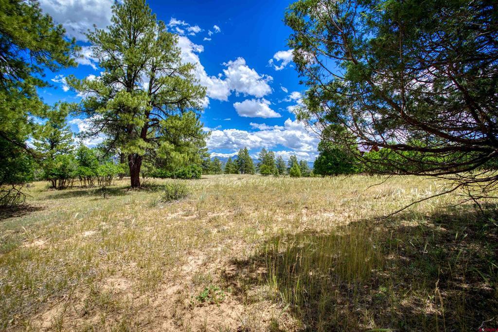 472 San Juan Drive Pagosa Springs CO 81147