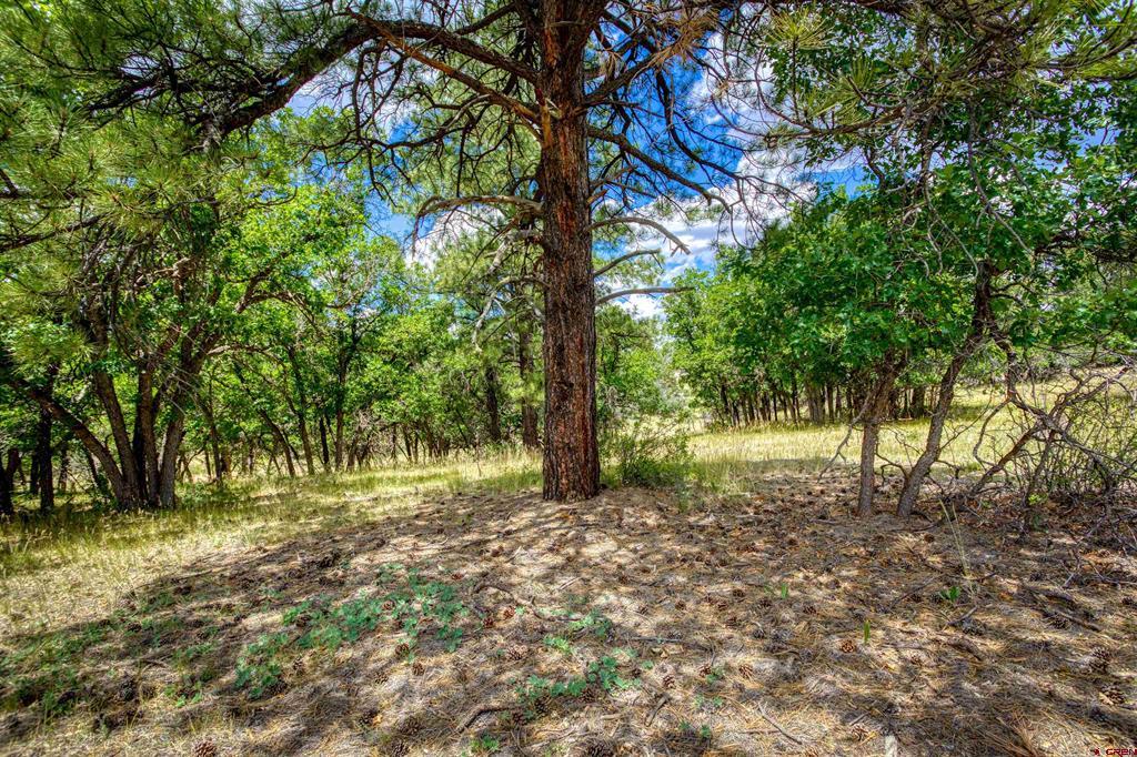 472 San Juan Drive Pagosa Springs CO 81147
