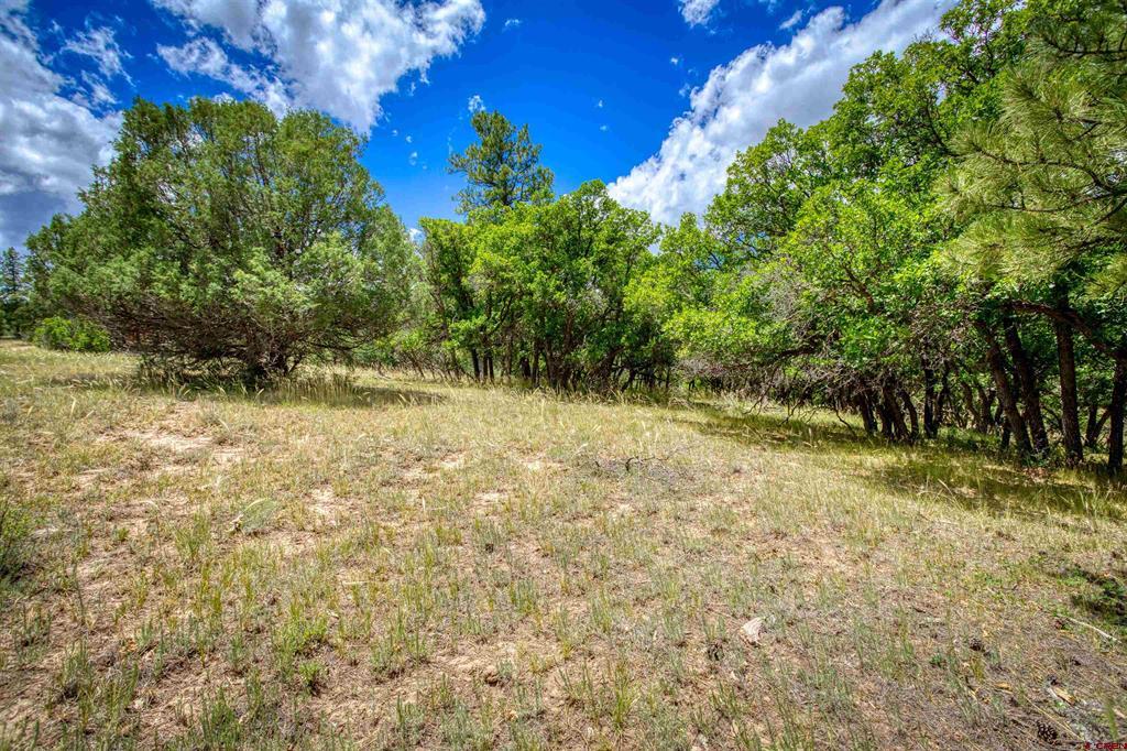 472 San Juan Drive Pagosa Springs CO 81147