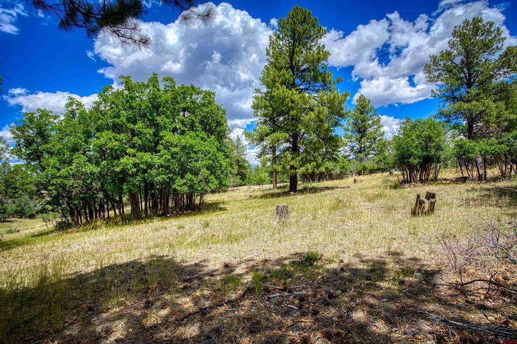 472 San Juan Drive Pagosa Springs CO 81147
