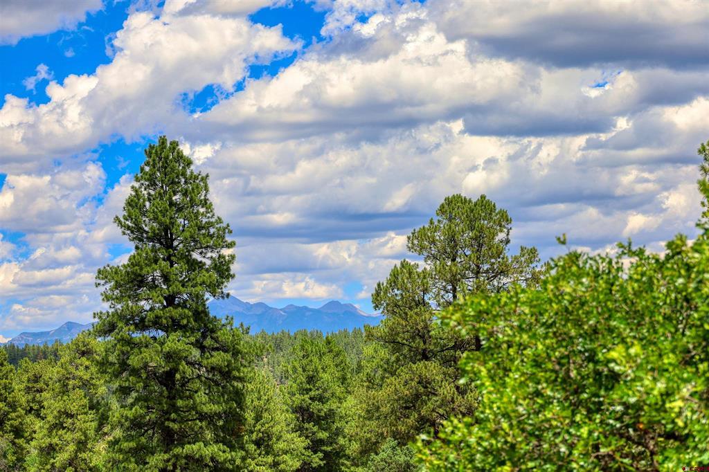 472 San Juan Drive Pagosa Springs CO 81147