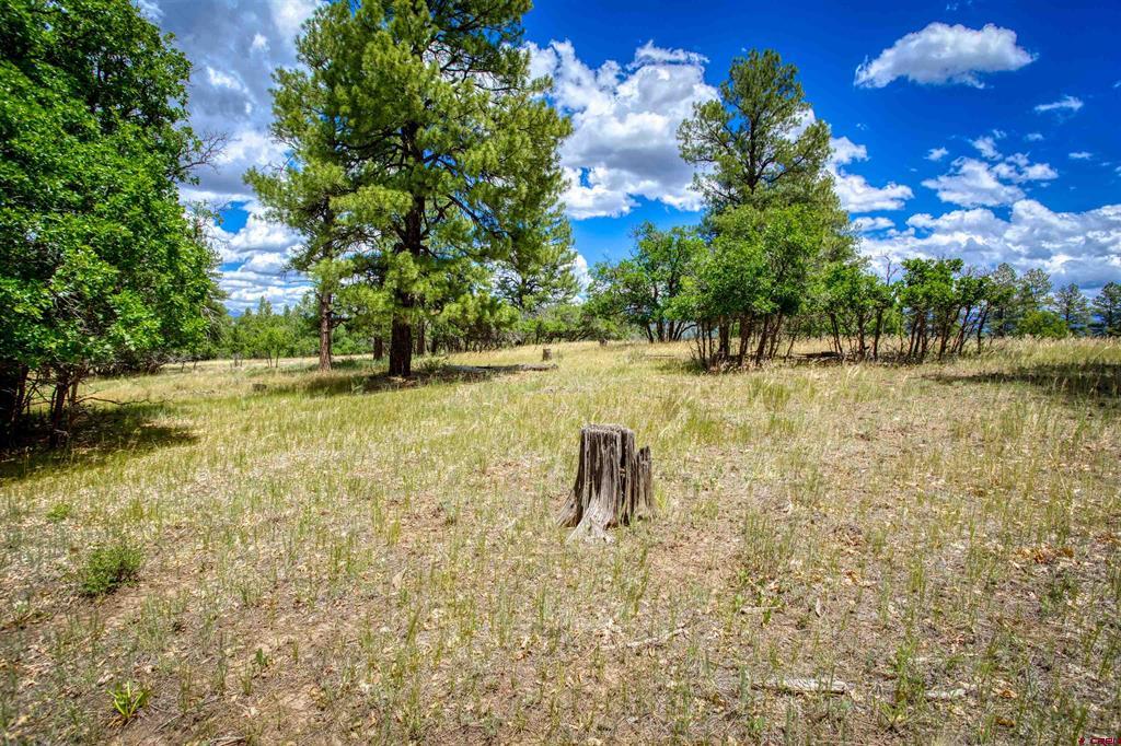 472 San Juan Drive Pagosa Springs CO 81147