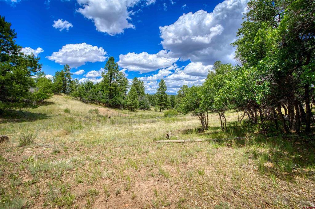 472 San Juan Drive Pagosa Springs CO 81147