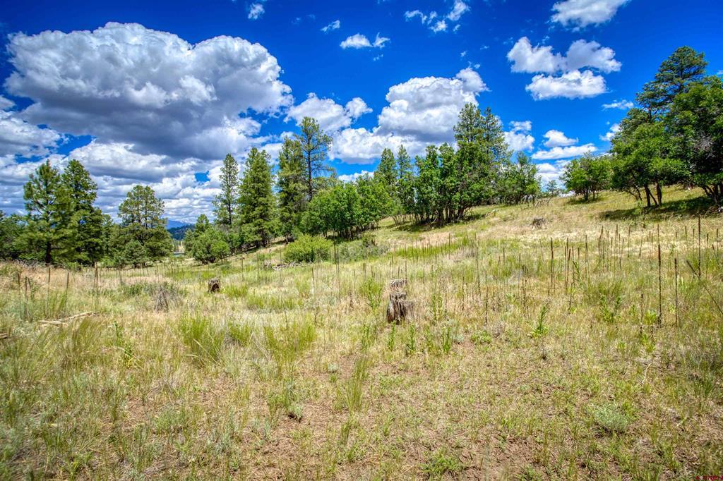 472 San Juan Drive Pagosa Springs CO 81147