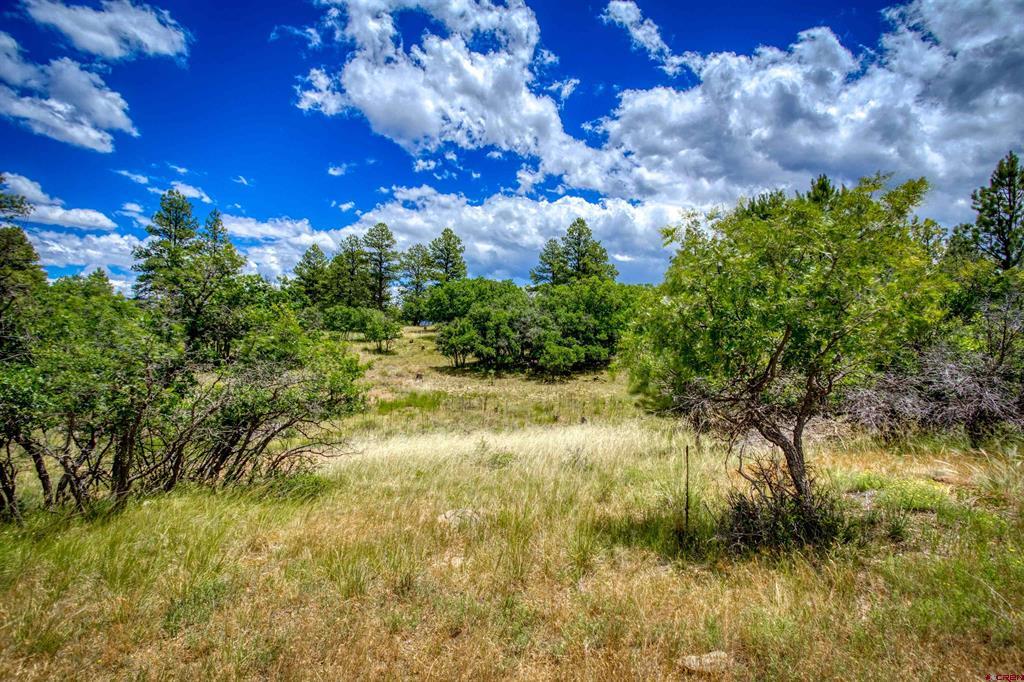 472 San Juan Drive Pagosa Springs CO 81147