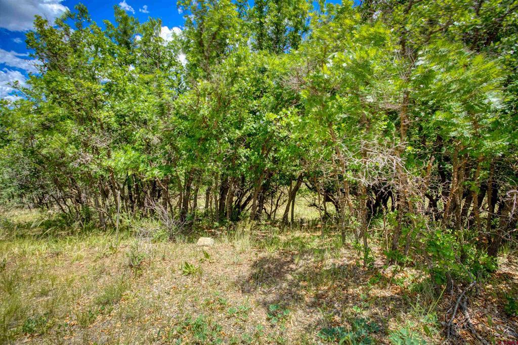 472 San Juan Drive Pagosa Springs CO 81147