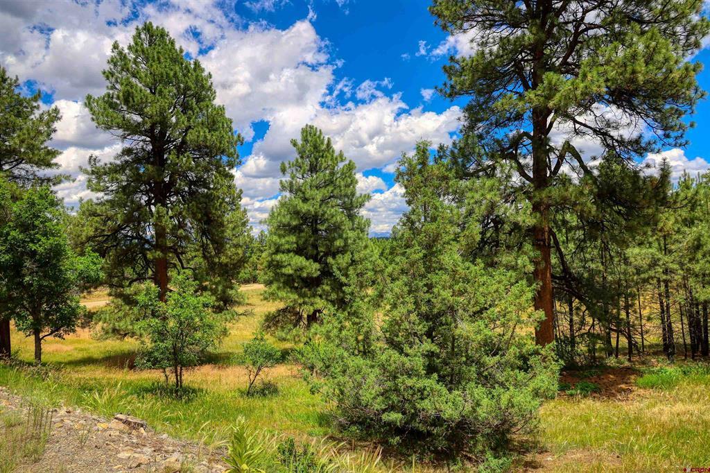 472 San Juan Drive Pagosa Springs CO 81147