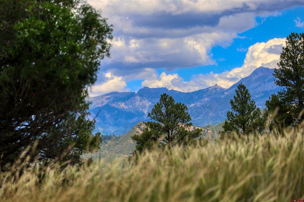 472 San Juan Drive Pagosa Springs CO 81147