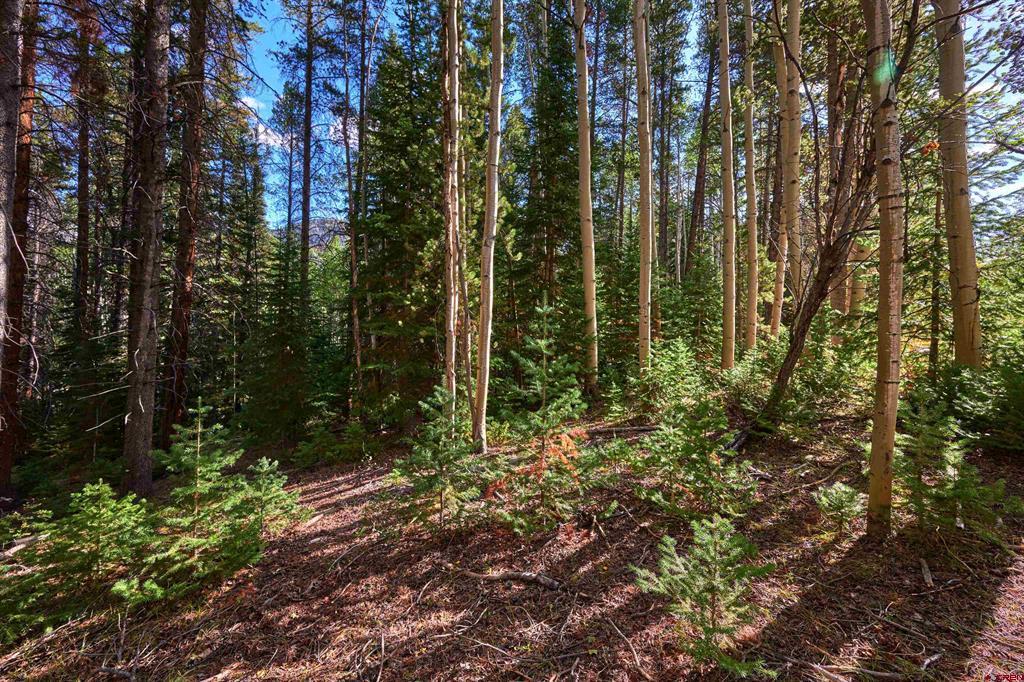 617 Sioux Road Gunnison CO 81230