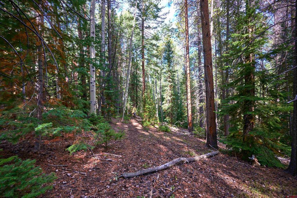 617 Sioux Road Gunnison CO 81230