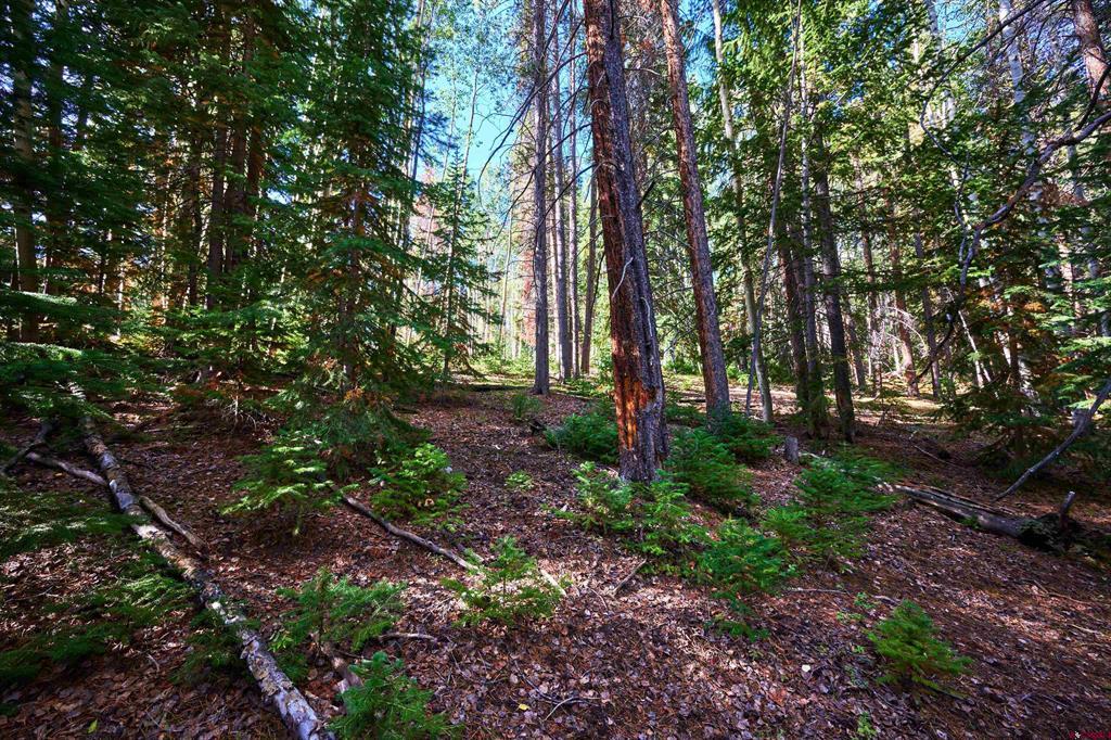 617 Sioux Road Gunnison CO 81230