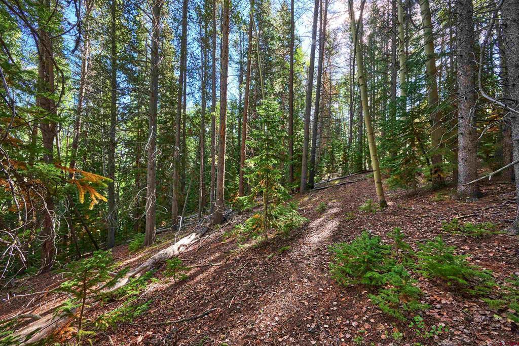 617 Sioux Road Gunnison CO 81230