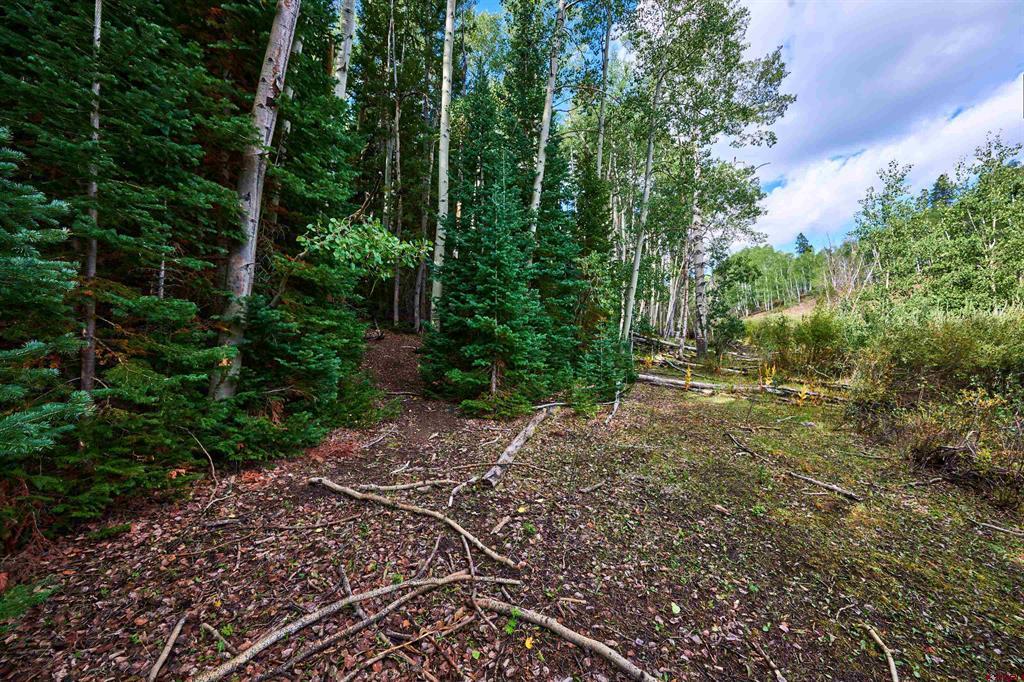 617 Sioux Road Gunnison CO 81230