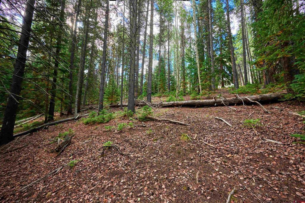 617 Sioux Road Gunnison CO 81230
