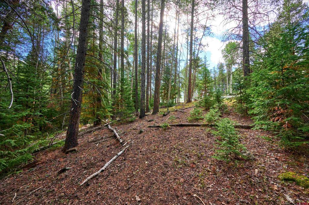 617 Sioux Road Gunnison CO 81230