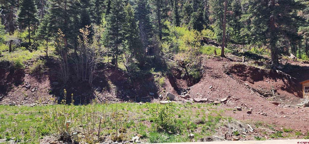 Lot 17 Hinkson Terrace Ouray CO 81427