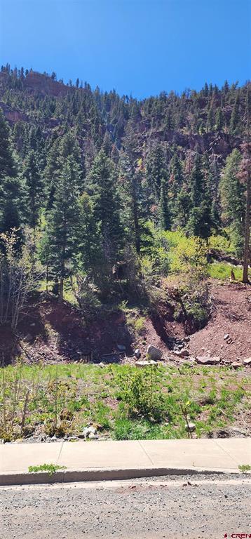 Lot 17 Hinkson Terrace Ouray CO 81427