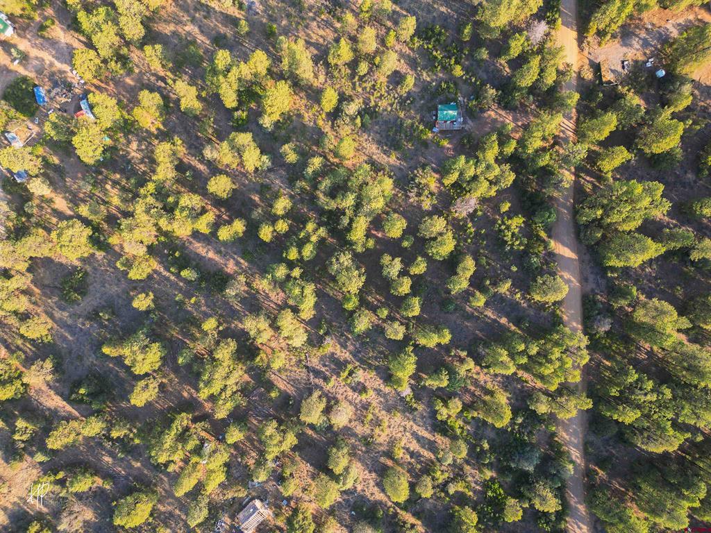 326 Justin's Road Pagosa Springs CO 81147