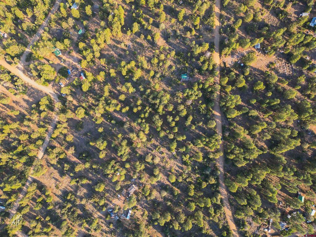 326 Justin's Road Pagosa Springs CO 81147