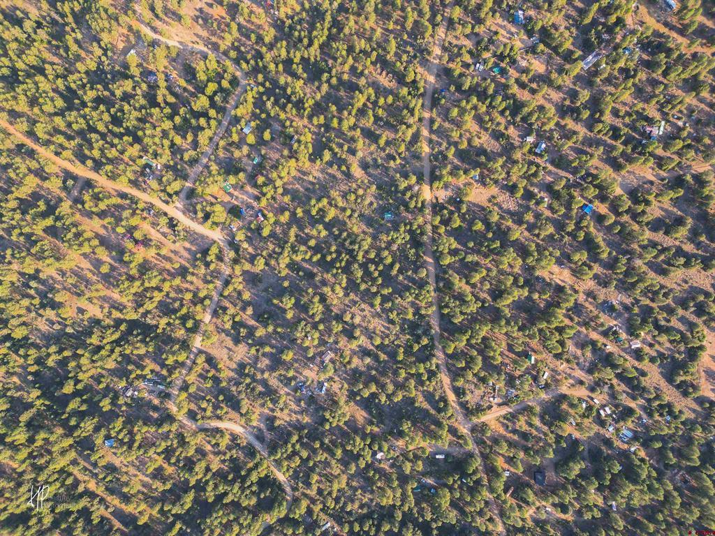 326 Justin's Road Pagosa Springs CO 81147