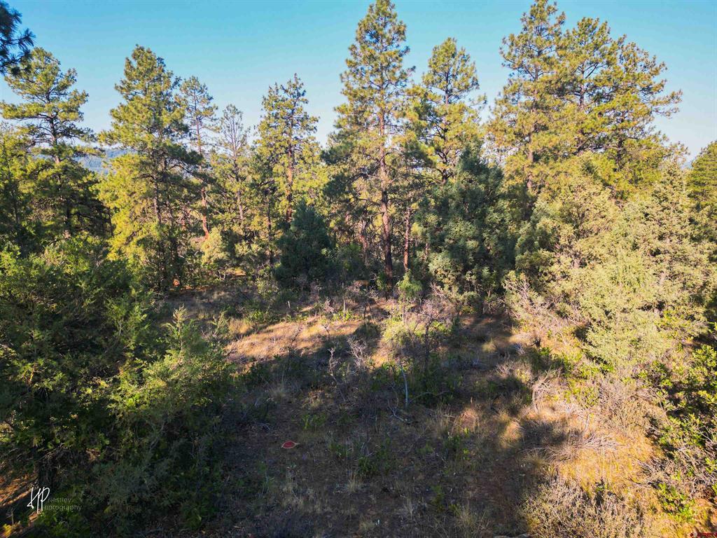 326 Justin's Road Pagosa Springs CO 81147