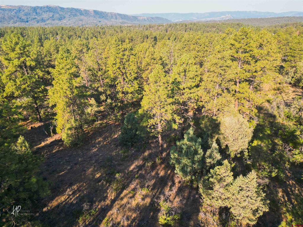326 Justin's Road Pagosa Springs CO 81147