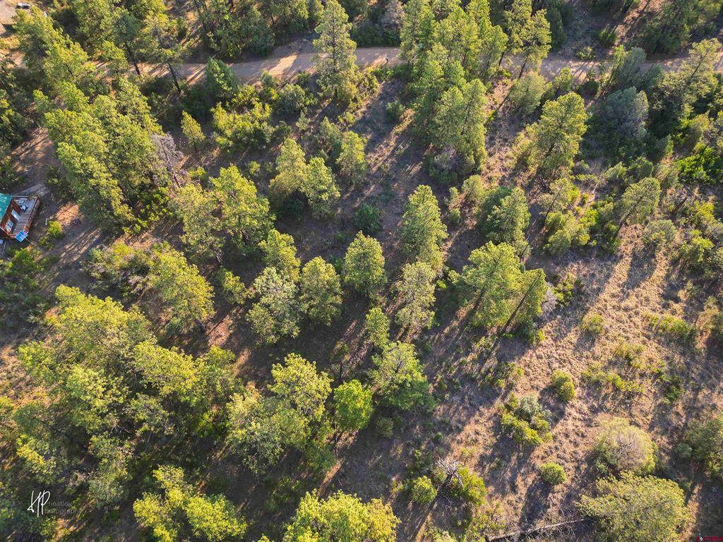 326 Justin's Road Pagosa Springs CO 81147