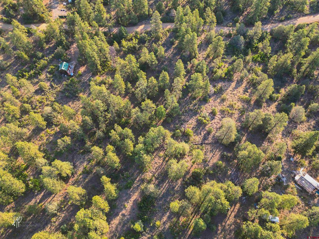 326 Justin's Road Pagosa Springs CO 81147