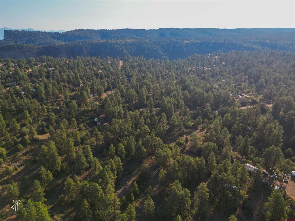 326 Justin's Road Pagosa Springs CO 81147