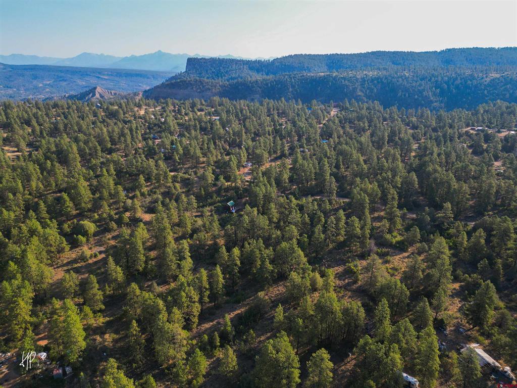 326 Justin's Road Pagosa Springs CO 81147