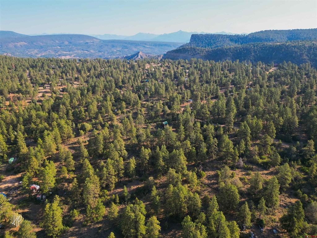 326 Justin's Road Pagosa Springs CO 81147