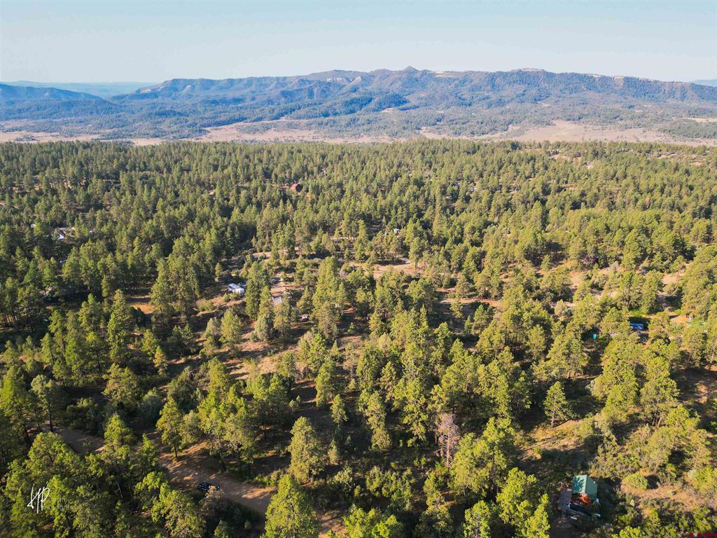 326 Justin's Road Pagosa Springs CO 81147